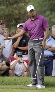 Tiger gestures to a putt